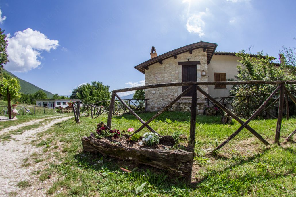 Decorazione vaso tronco valnerina